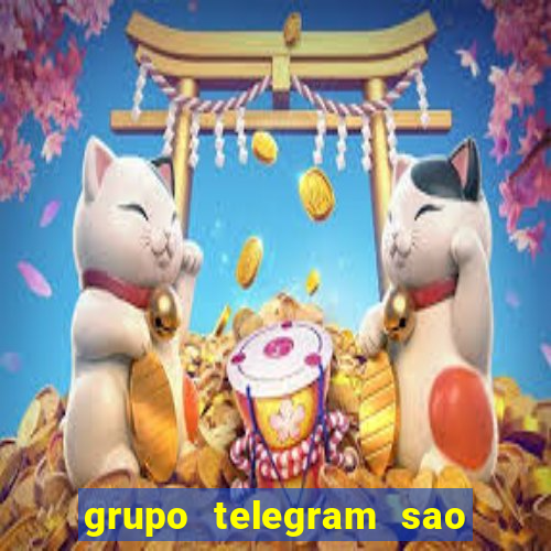 grupo telegram sao jose do rio preto